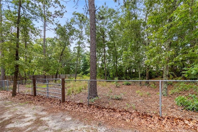 162 Fallingleaf Dr, Raeford, NC 28376 - photo 32