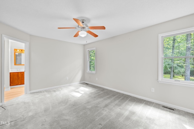 6509 NC Highway 249, Mebane, NC 27302 - photo 26