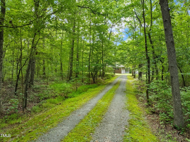 6509 NC Highway 249, Mebane, NC 27302 - photo 40