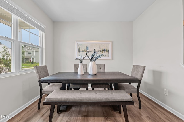 501 Rain Drizzle Ct, Wake Forest, NC 27587 - photo 8