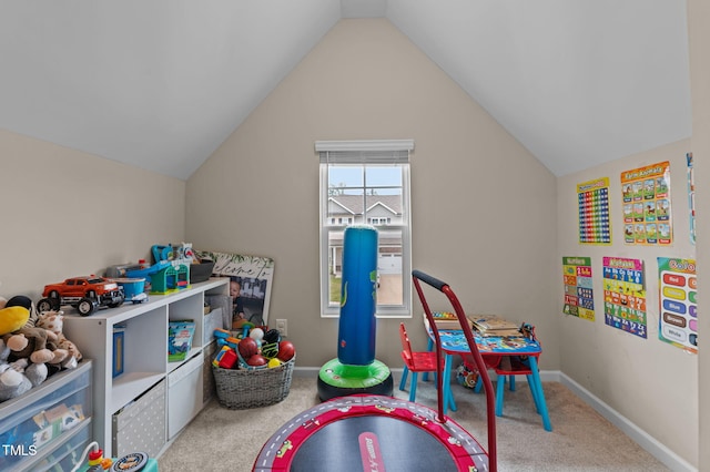 501 Rain Drizzle Ct, Wake Forest, NC 27587 - photo 28