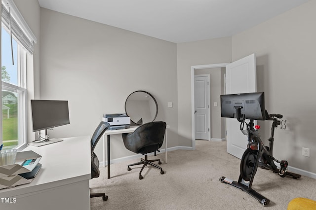501 Rain Drizzle Ct, Wake Forest, NC 27587 - photo 31