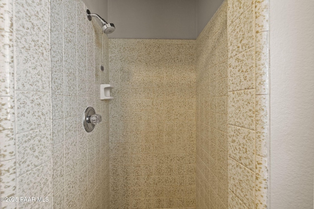 details featuring walk in shower