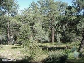 Listing photo 2 for LOT2 Hoover St, Prescott AZ 86303