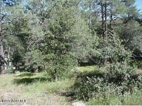 Listing photo 3 for LOT2 Hoover St, Prescott AZ 86303