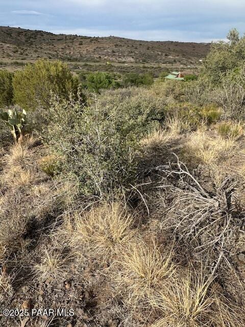 15580 E Rough Rider Rdg, Mayer, AZ 86333 - photo 3