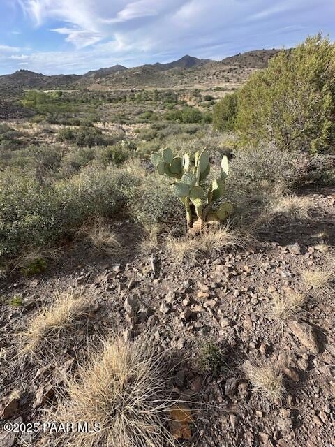 15580 E Rough Rider Rdg, Mayer, AZ 86333 - photo 6