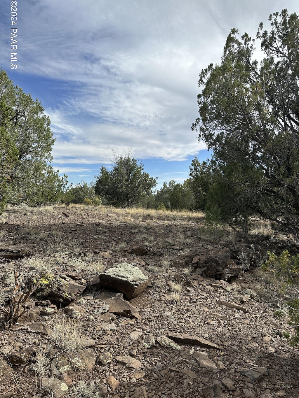48315 N Yavapai Blvd, Ash Fork, AZ 86320 - photo 1