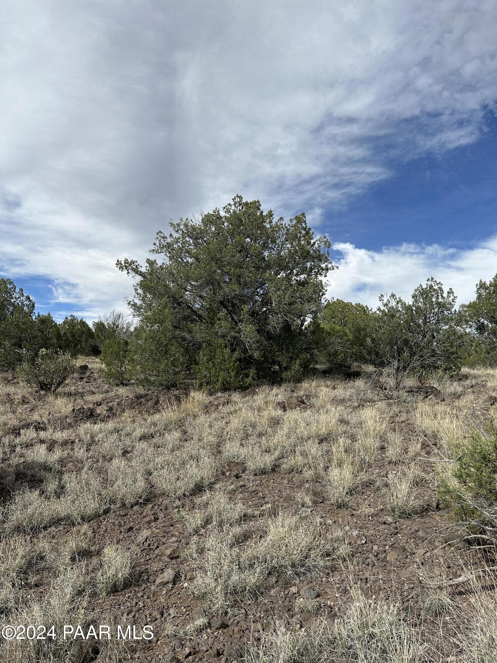 48315 N Yavapai Blvd, Ash Fork, AZ 86320 - photo 2