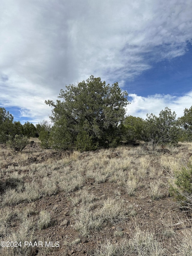 48315 N Yavapai Blvd, Ash Fork, AZ 86320 - photo 2