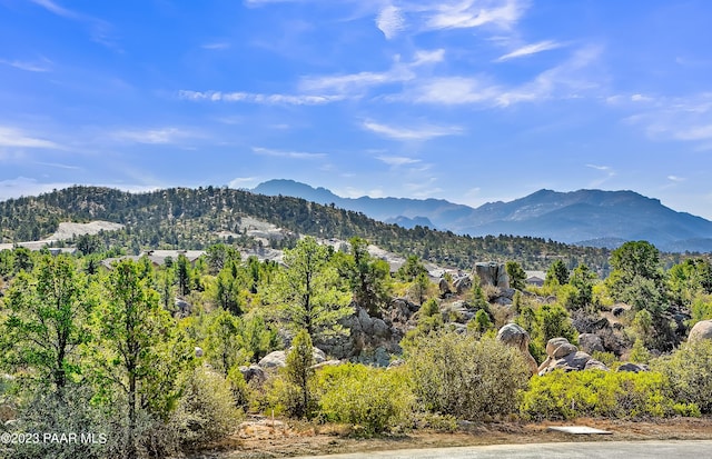 property view of mountains with a view of trees