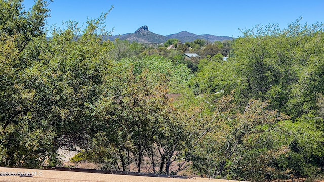 941 Custer Ln, Prescott, AZ 86305 - view of mountain backdrop