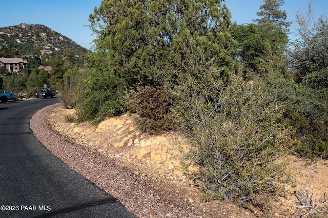 view of road featuring a mountain view