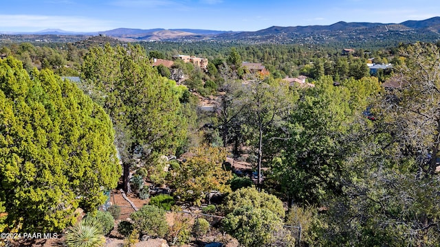 birds eye view of property featuring a mountain view