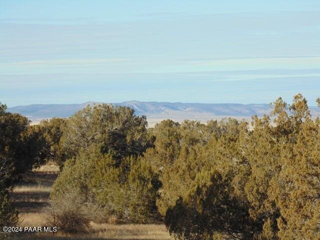 55779 Cabra Ln, Seligman AZ, 86337 land for sale