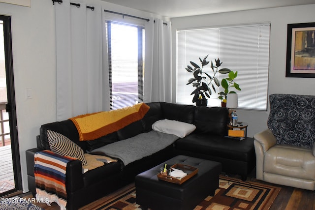 living room with wood finished floors