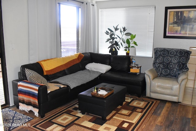 living room featuring wood finished floors