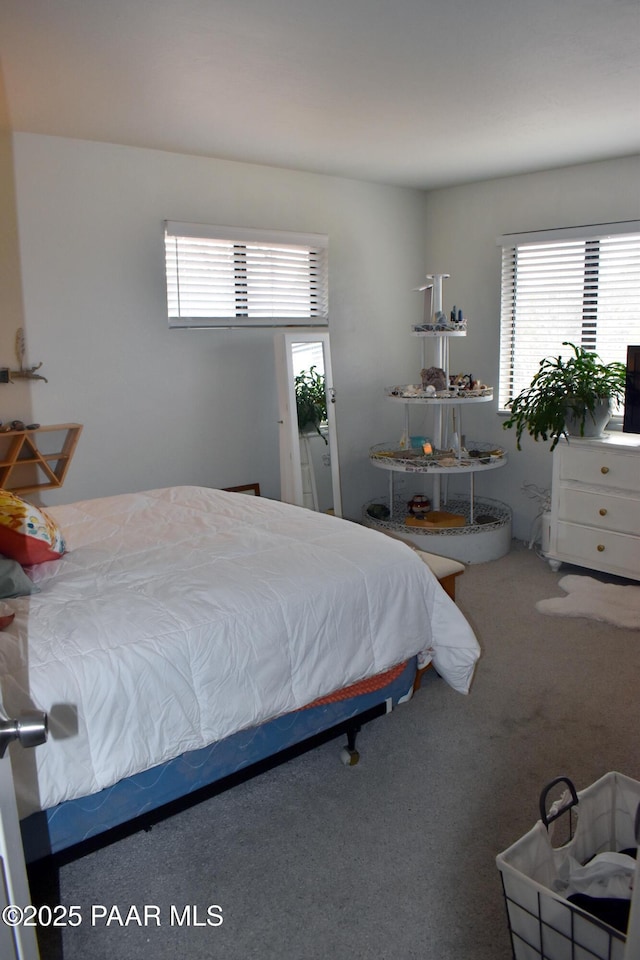 carpeted bedroom with multiple windows