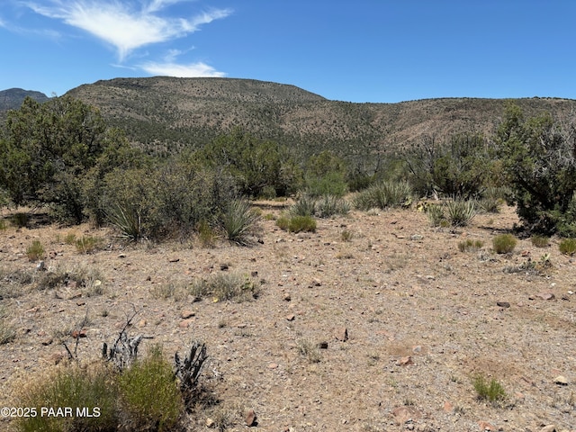 800 Pony Mesa, Kingman AZ, 86401 land for sale