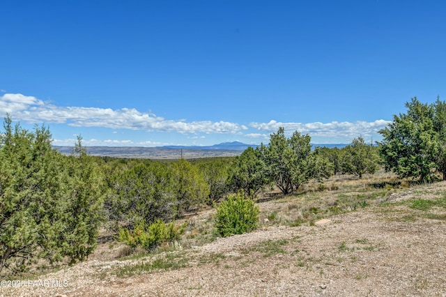 4470 W Sullivan Buttes Rdg, Chino Valley, AZ 86323 - photo 32