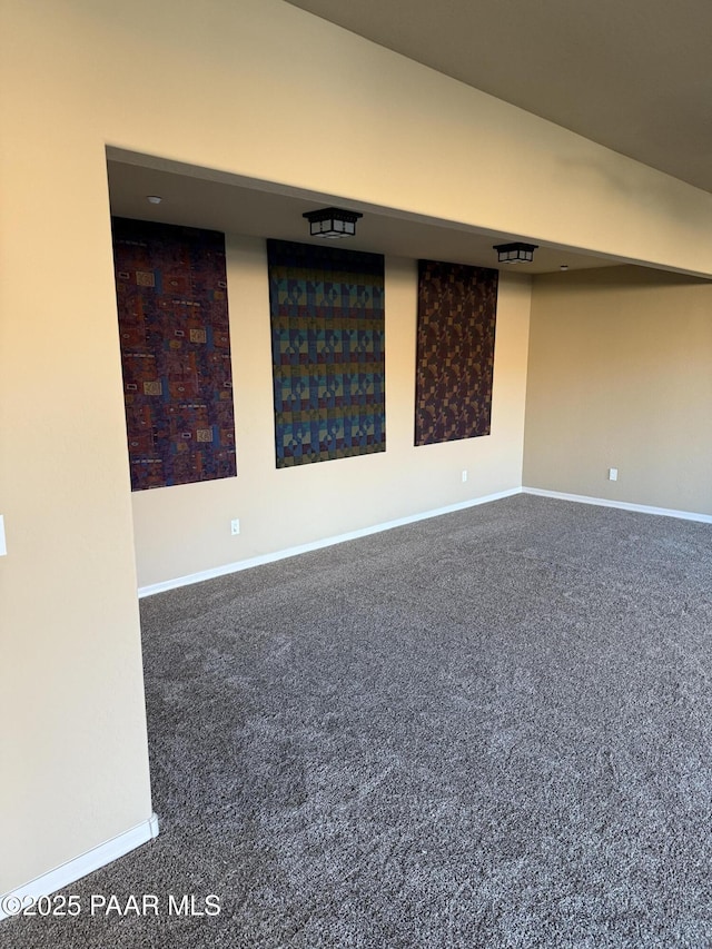 basement featuring carpet floors