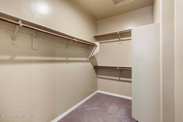 walk in closet with carpet floors