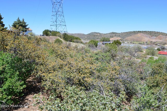 13785 E Main St, Mayer, AZ 86333 - photo 10