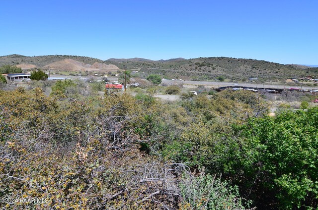 13785 E Main St, Mayer, AZ 86333 - photo 9