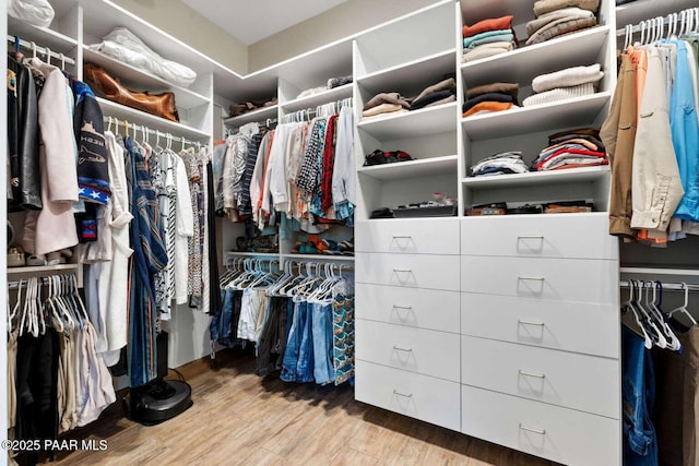 walk in closet with wood finished floors