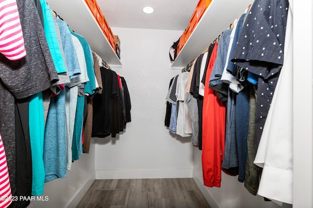 spacious closet with hardwood / wood-style floors