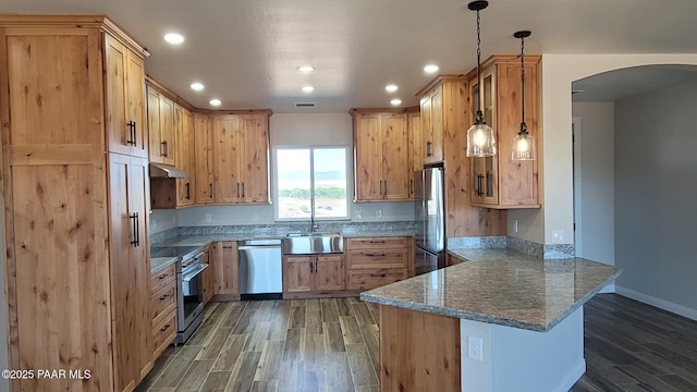 12880 E Brody Trl, Dewey-Humboldt, AZ 86327 - kitchen with a peninsula, appliances with stainless steel finishes, a sink, under cabinet range hood, and wood finish floors