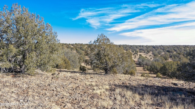LOT102 Raz Rd, Ash Fork, AZ 86046 - photo 63