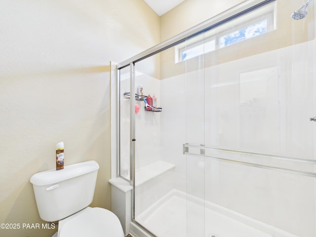 bathroom with a shower stall, toilet, and a wealth of natural light