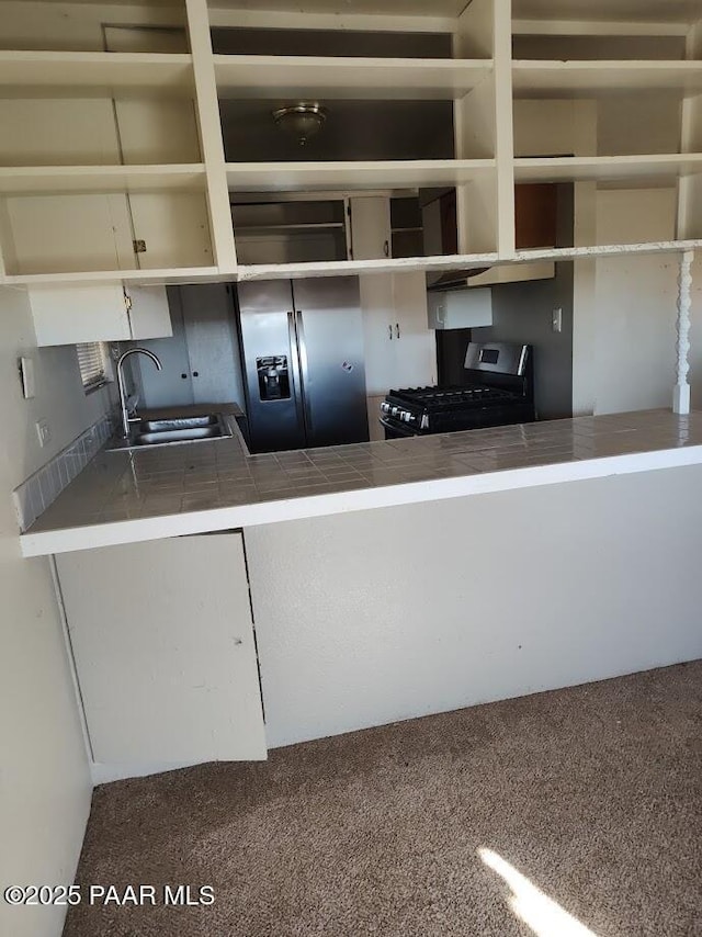 kitchen featuring carpet floors, sink, and stainless steel appliances