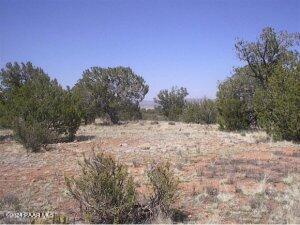 58640 N Vidrio Rd, Seligman AZ, 86337 land for sale