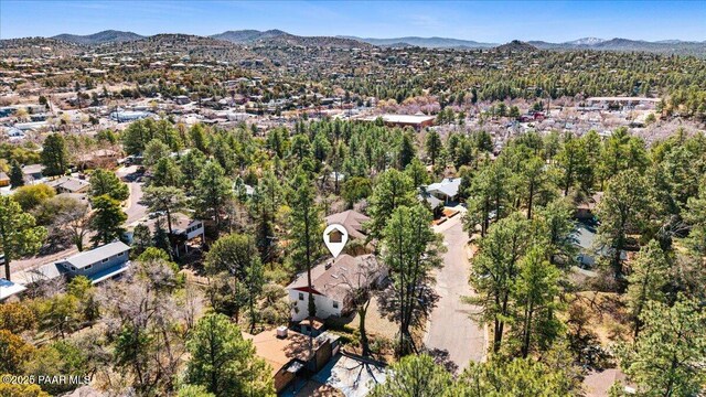 513 Ellenwood Dr, Prescott, AZ 86303 - photo 29