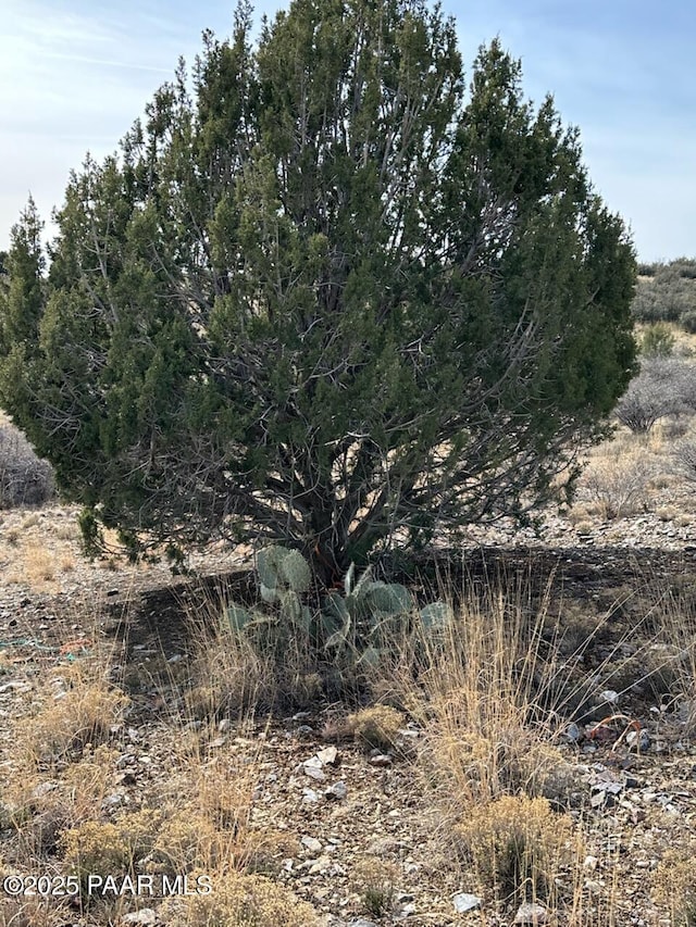 LOT507 Smoki Trl, Chino Valley, AZ 86323 - photo 4