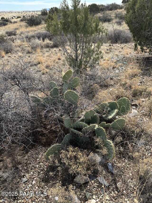 LOT507 Smoki Trl, Chino Valley, AZ 86323 - photo 5