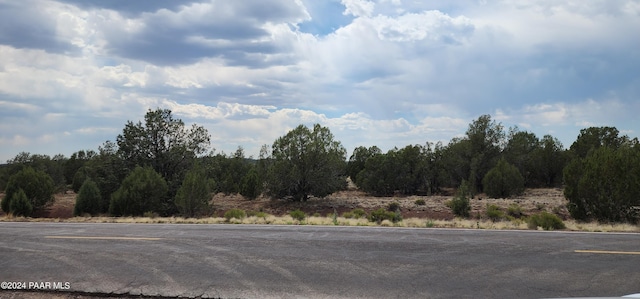 2544 N Double A Rnch Rd, Ash Fork, AZ 86320 - photo 8