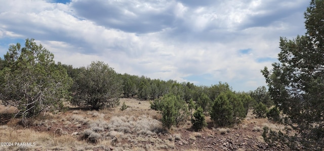 2544 N Double A Rnch Rd, Ash Fork, AZ 86320 - photo 3