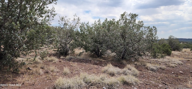 2544 N Double A Rnch Rd, Ash Fork, AZ 86320 - photo 14