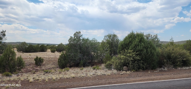 2544 N Double A Rnch Rd, Ash Fork, AZ 86320 - photo 12