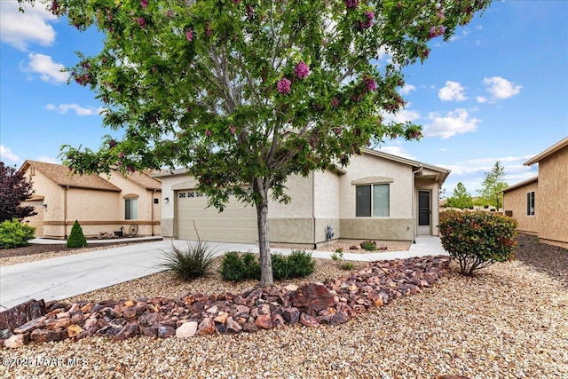 4628 N Salem Pl, Prescott Valley, AZ 86314 - photo 3