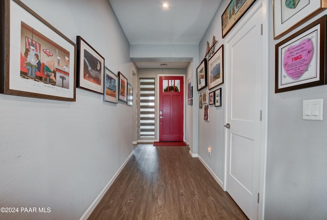 doorway to outside featuring dark wood-type flooring