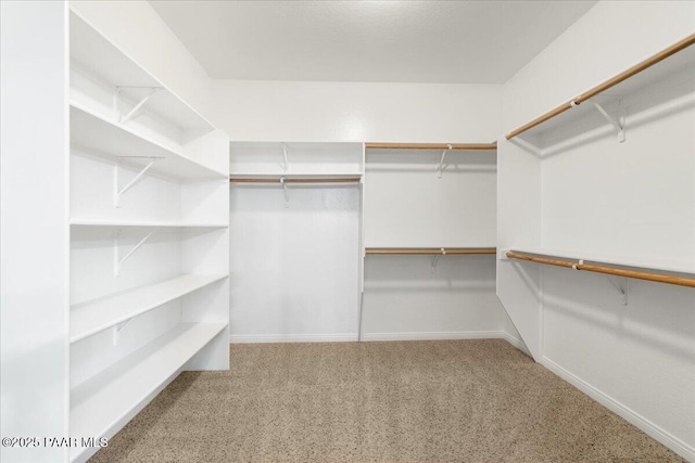 walk in closet featuring carpet floors