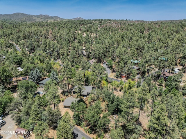 1570 W Pine Cone Way, Prescott, AZ 86303 - photo 41