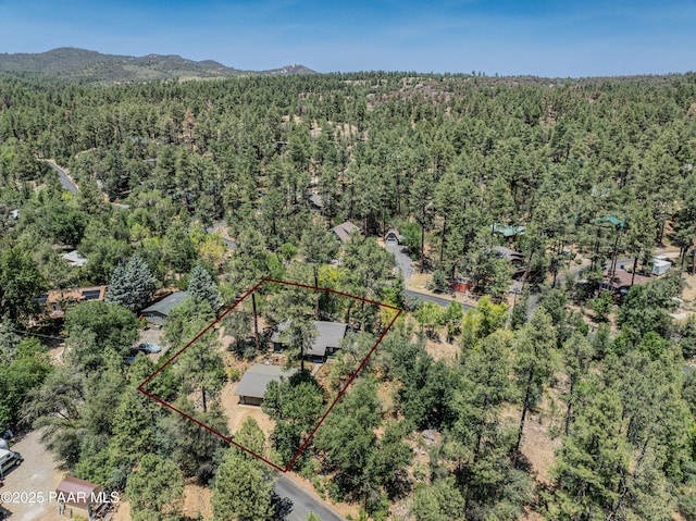 1570 W Pine Cone Way, Prescott, AZ 86303 - photo 37