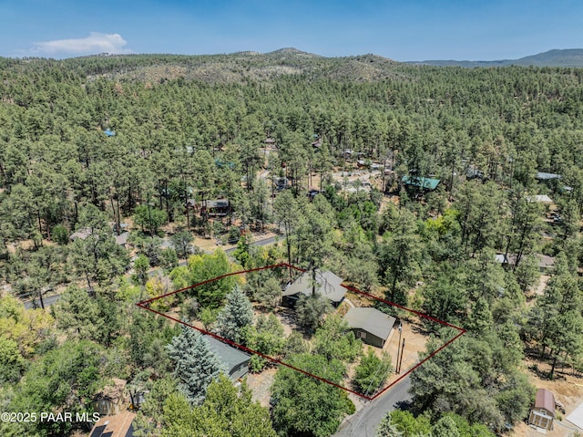 1570 W Pine Cone Way, Prescott, AZ 86303 - photo 38