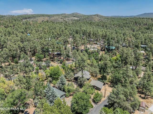 1570 W Pine Cone Way, Prescott, AZ 86303 - photo 42
