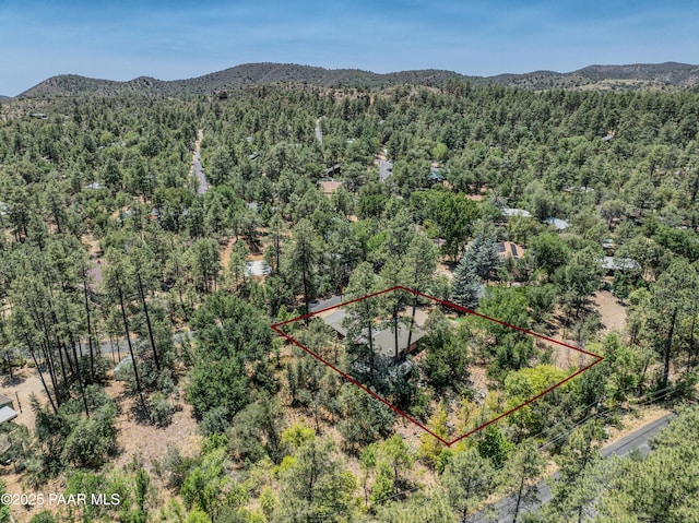 1570 W Pine Cone Way, Prescott, AZ 86303 - photo 36